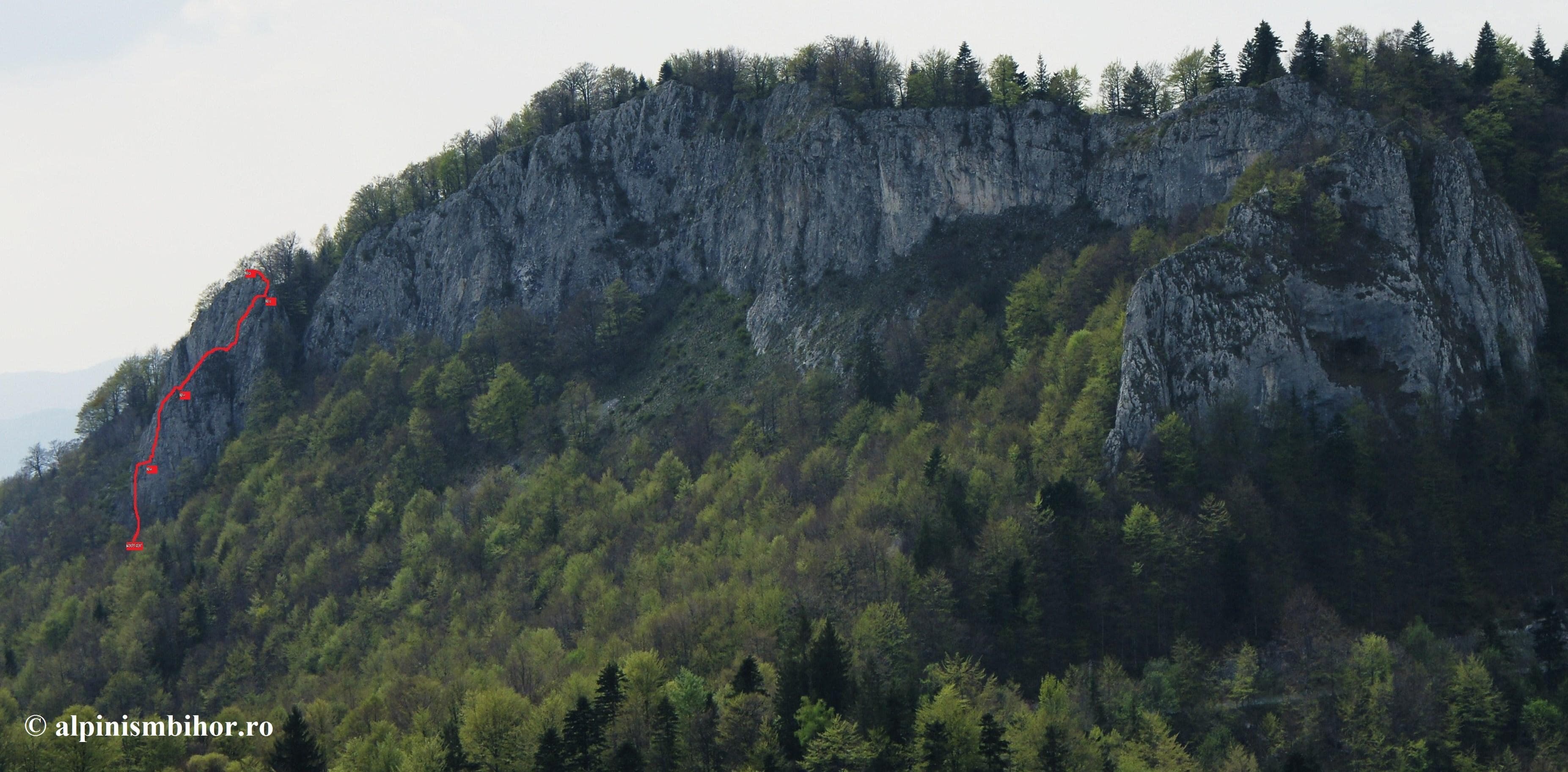 Sursă: alpinismbihor.ro