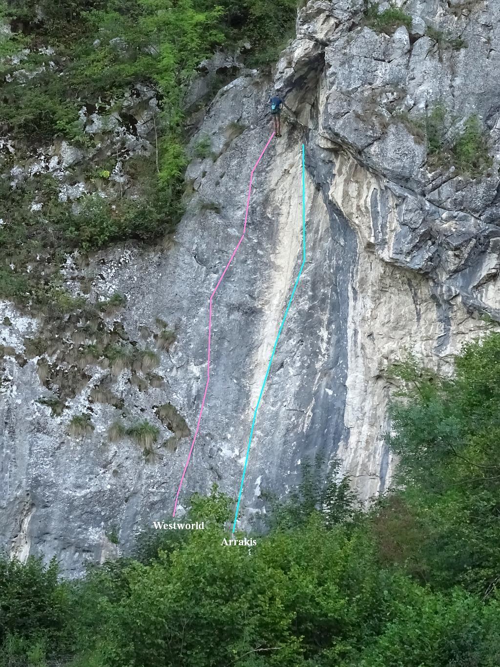 Sursă foto și desen: Rupi (2022)