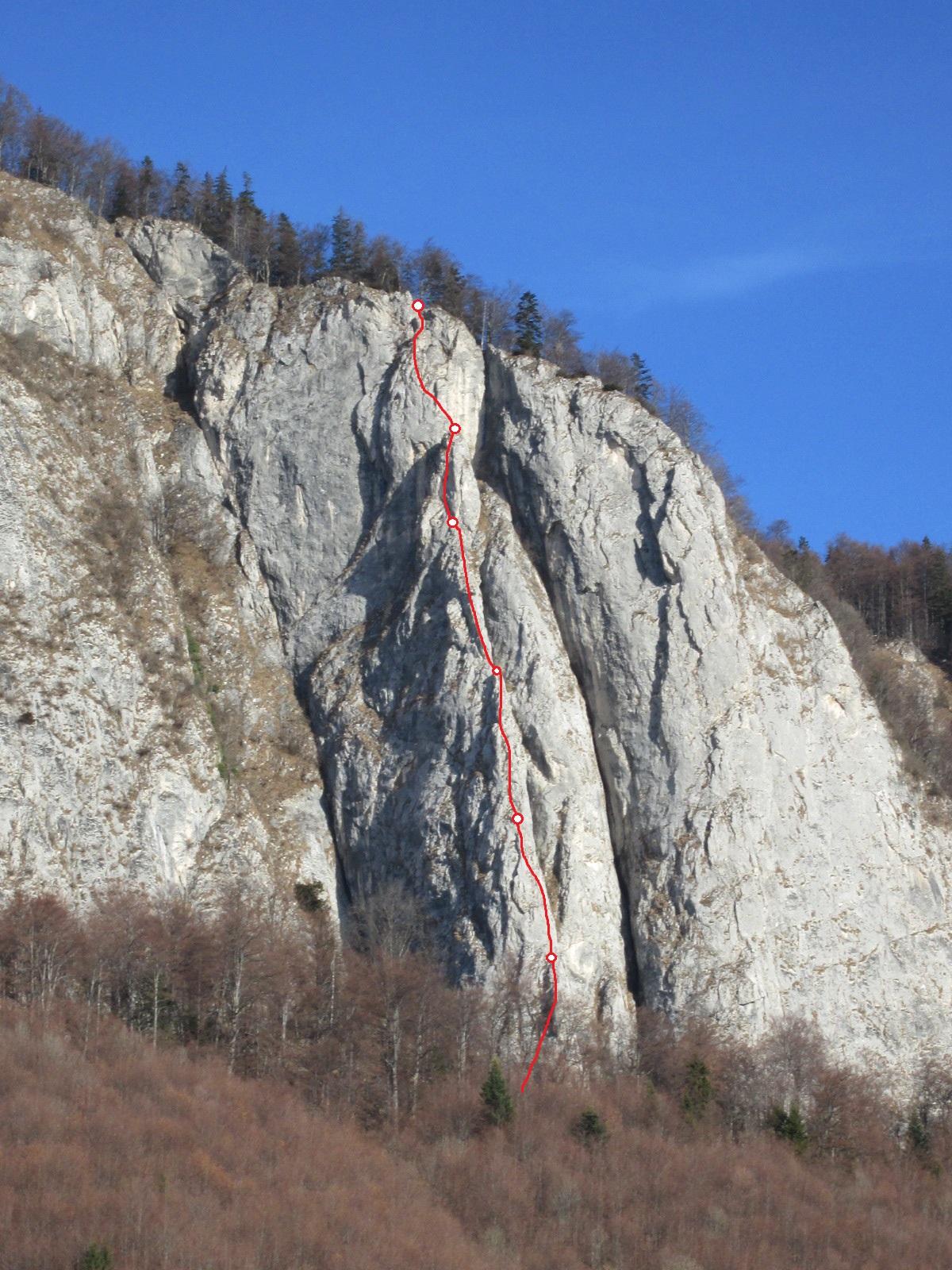 Muchia Căprioarei