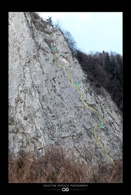 Coțofana