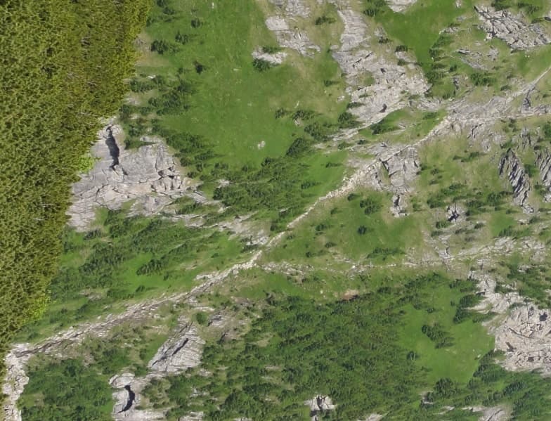 Vâlcelul Cuminte, văzut din Brâul de sus al Jepilor. Sursă: Rupi