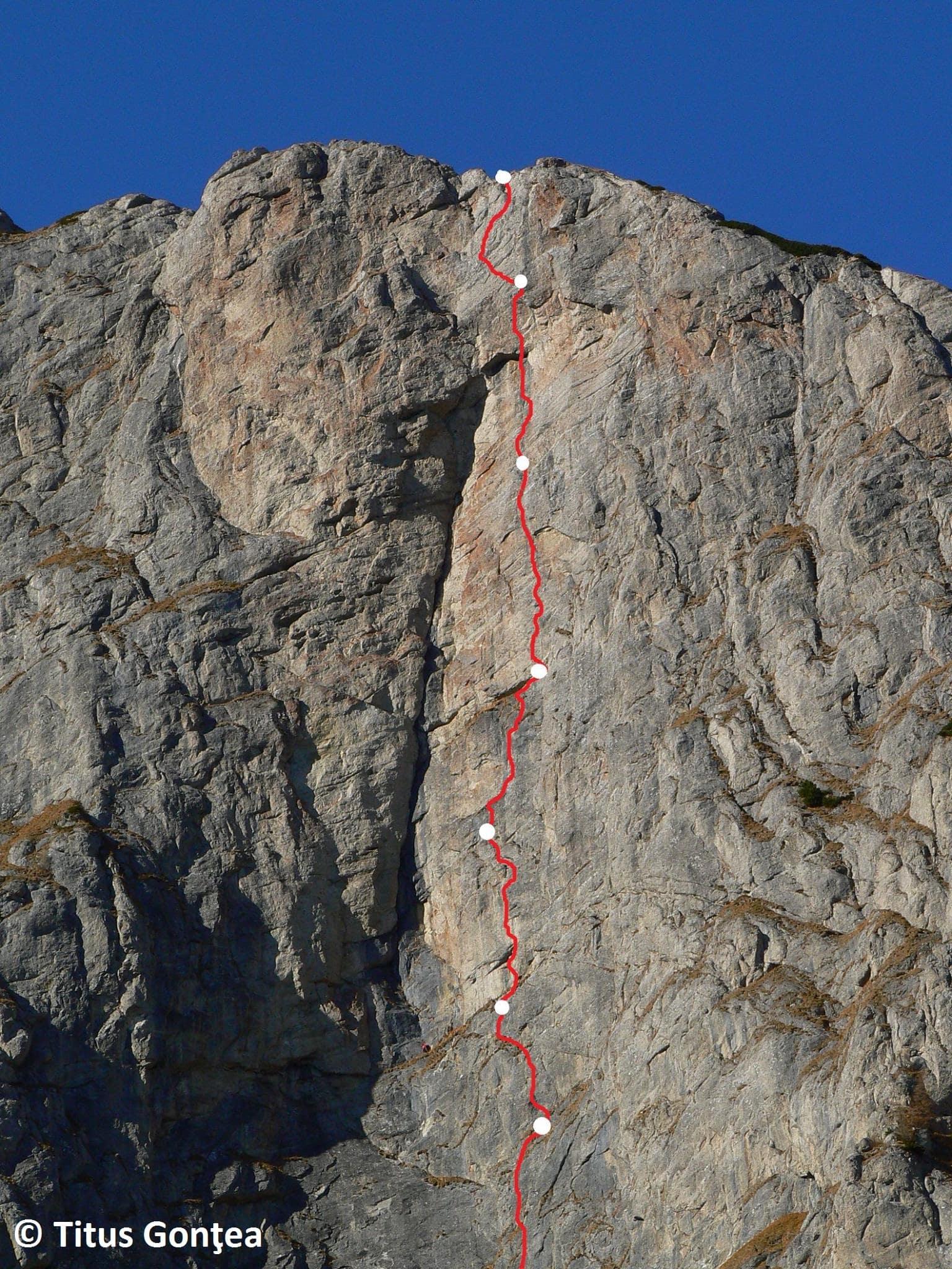 Sursă: Titus Gonţea