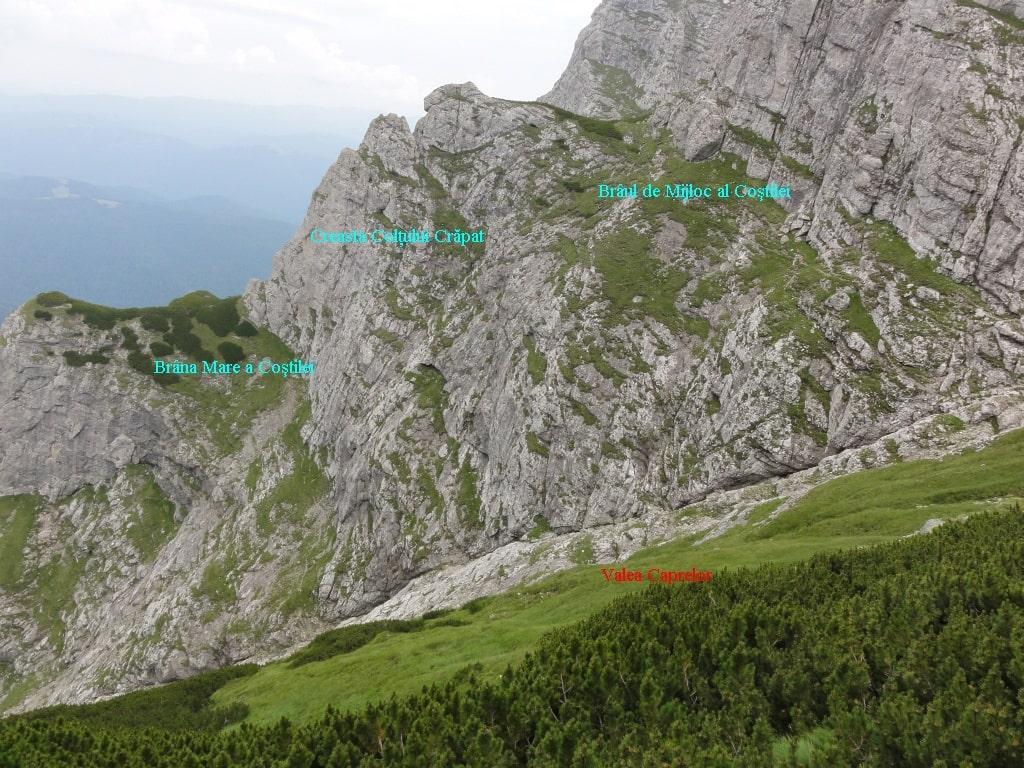 Vedere din Brâul de Mijloc al Coștilei. Sursă foto: Rupi