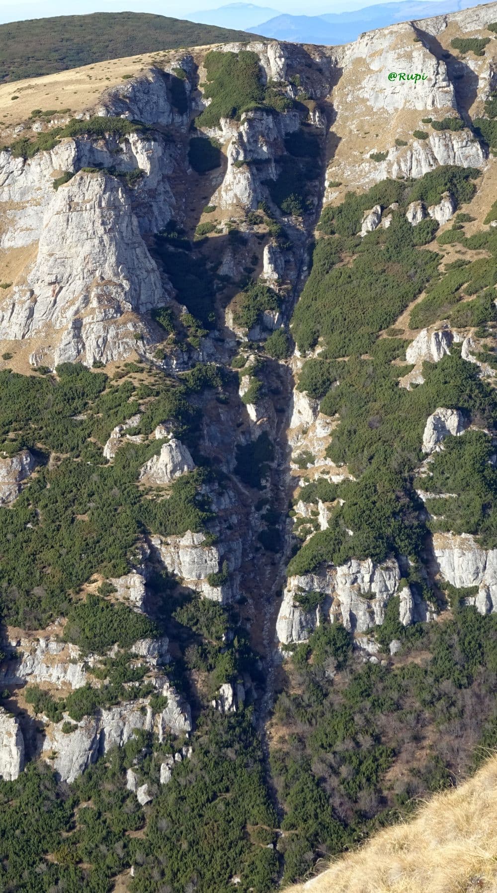 Vâlcelul Iadeș fără zăpadă. Sursă foto: Rupi (2024)