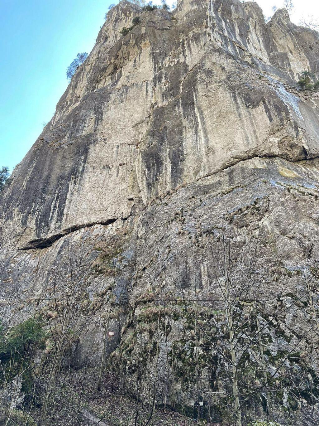 Sursă foto: Dan Ciubotaru (2022)