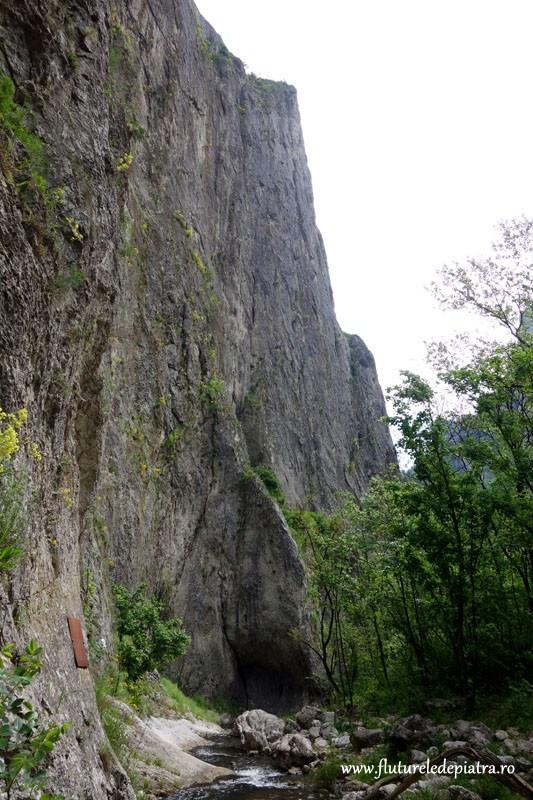 Peretele Uriaș, Cheile Turzii. Sursă: www.flutureledepiatra.ro