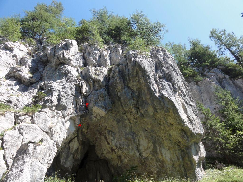 Sursă foto: Rupi (2016)