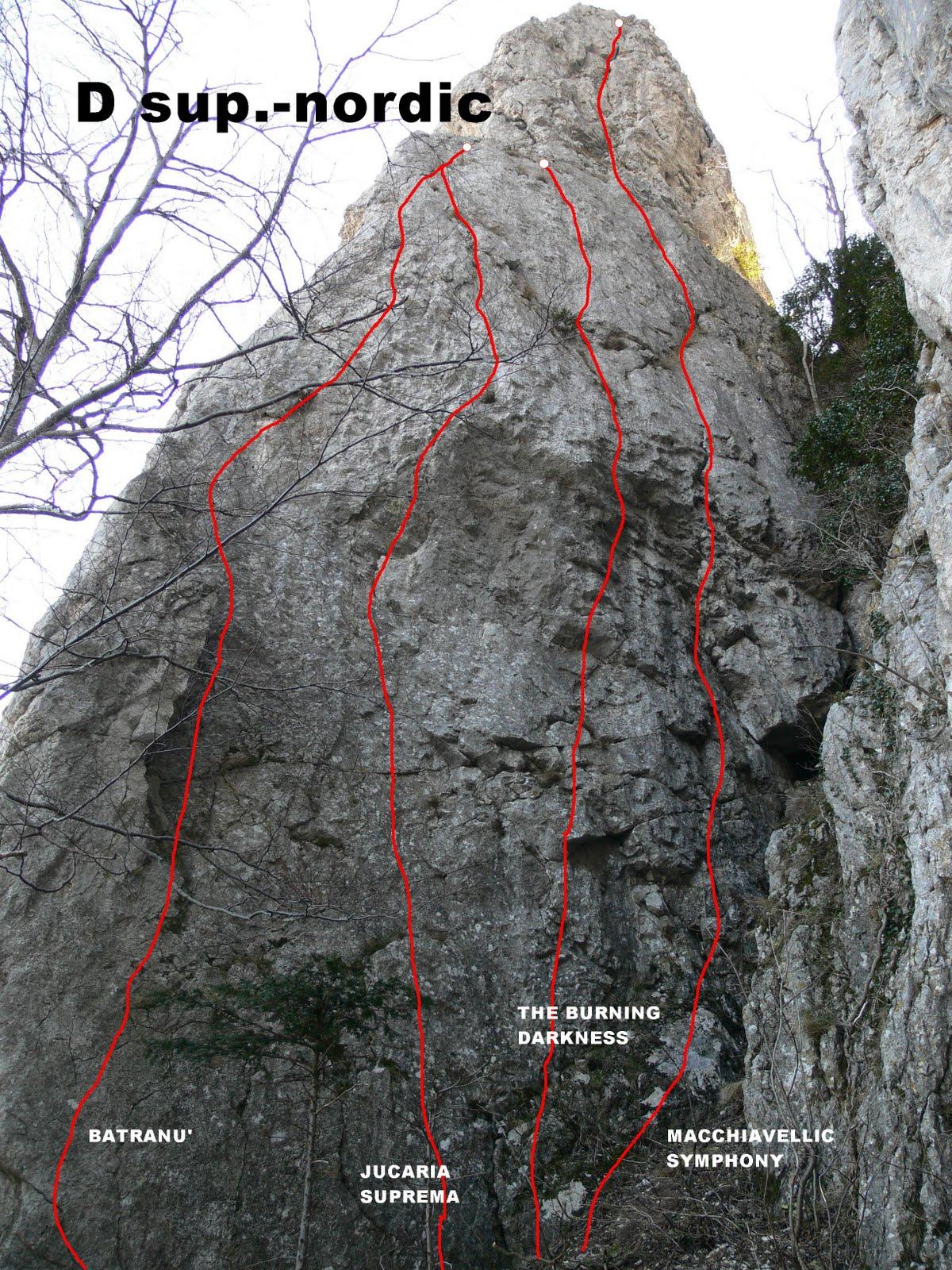 Sursă: Titus Gonțea