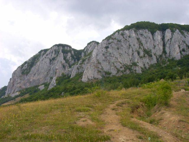Sursă: Cristi Popescu