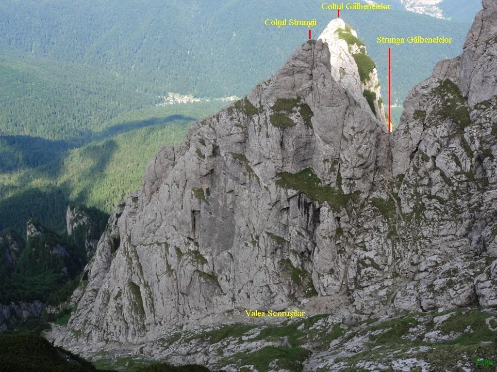 Sursă: Rupi