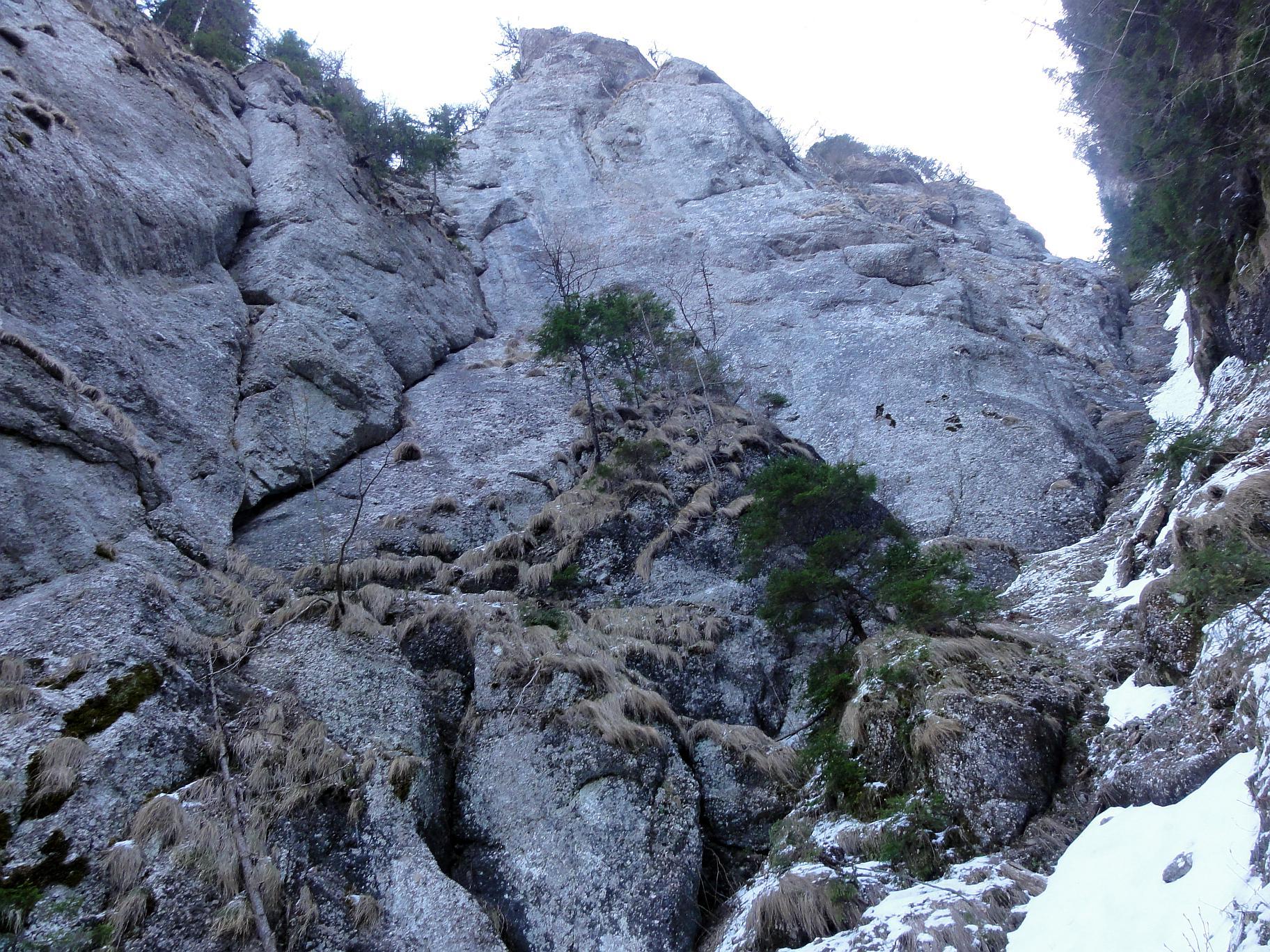 Sursa foto: Rupi (2016)