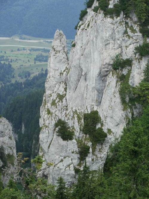 Sursă: Mihai Cernat