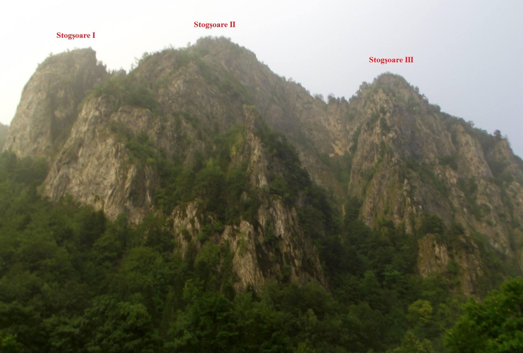 Stogşoare ansamblu