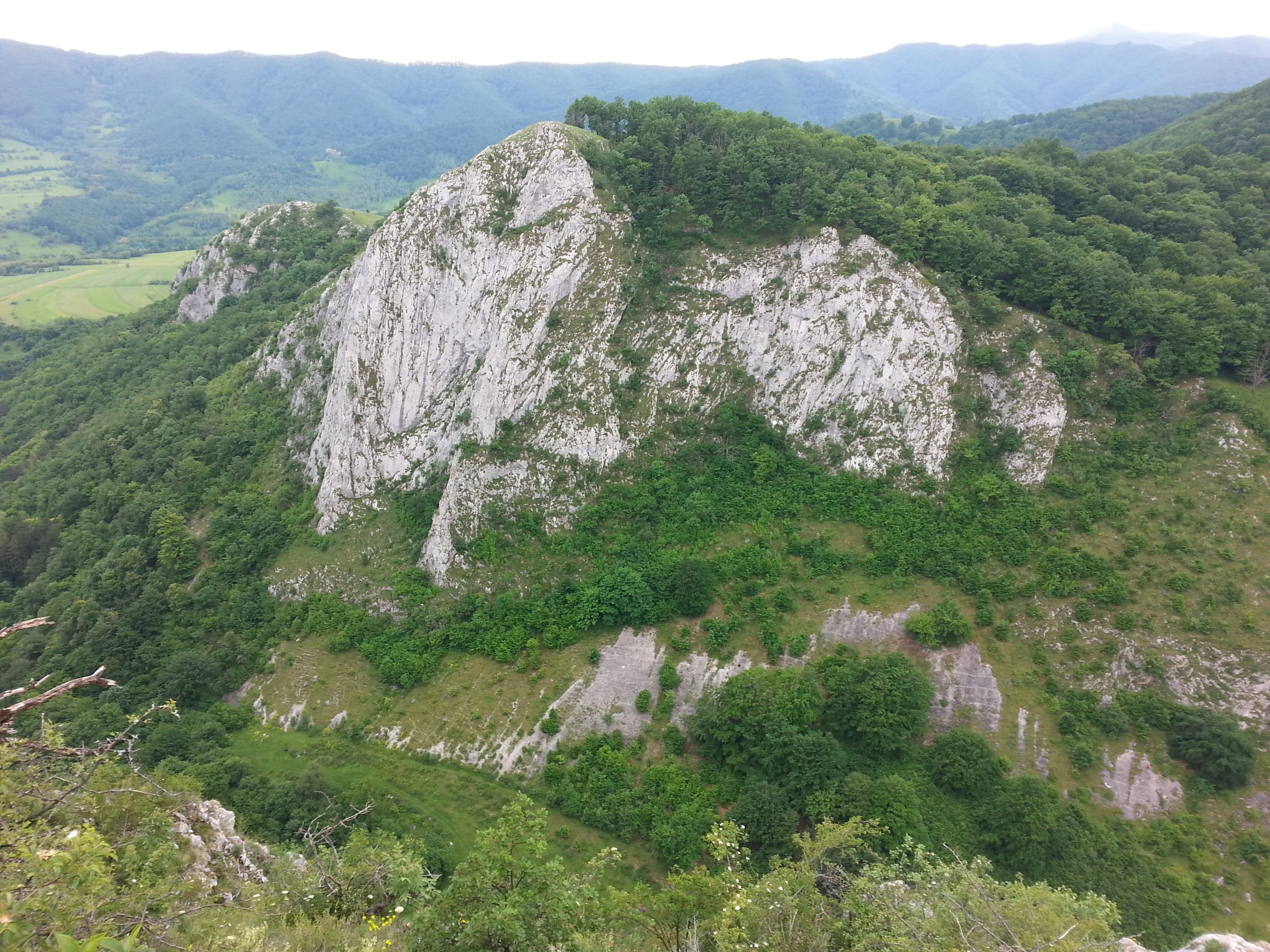 Sursă: Rupi
