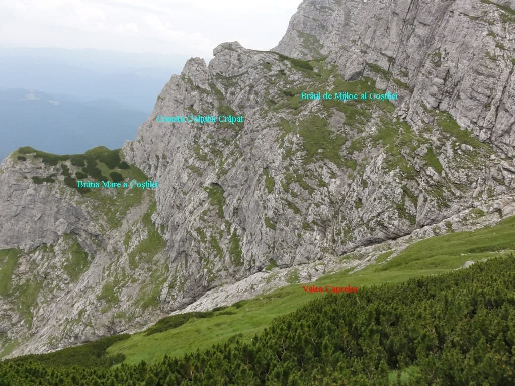 Vedere din Brâul de Mijloc al Coștilei. Sursă foto: Rupi