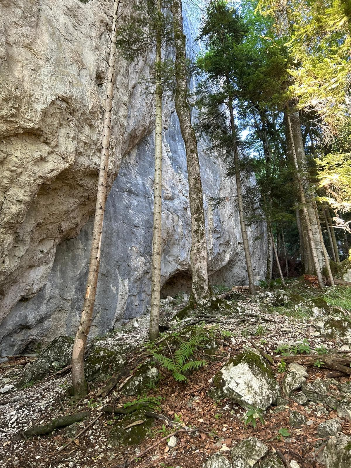 Sursă foto: Marcello Rossi (2025)
