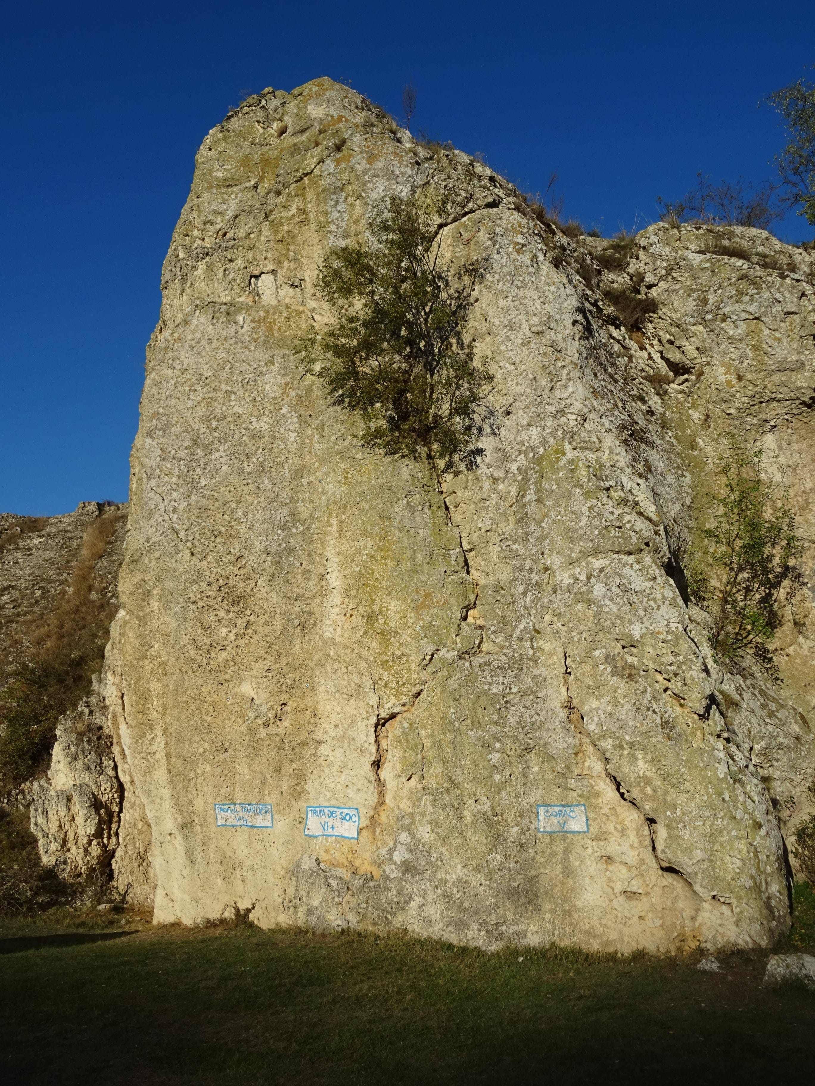 Sursă: Rupi