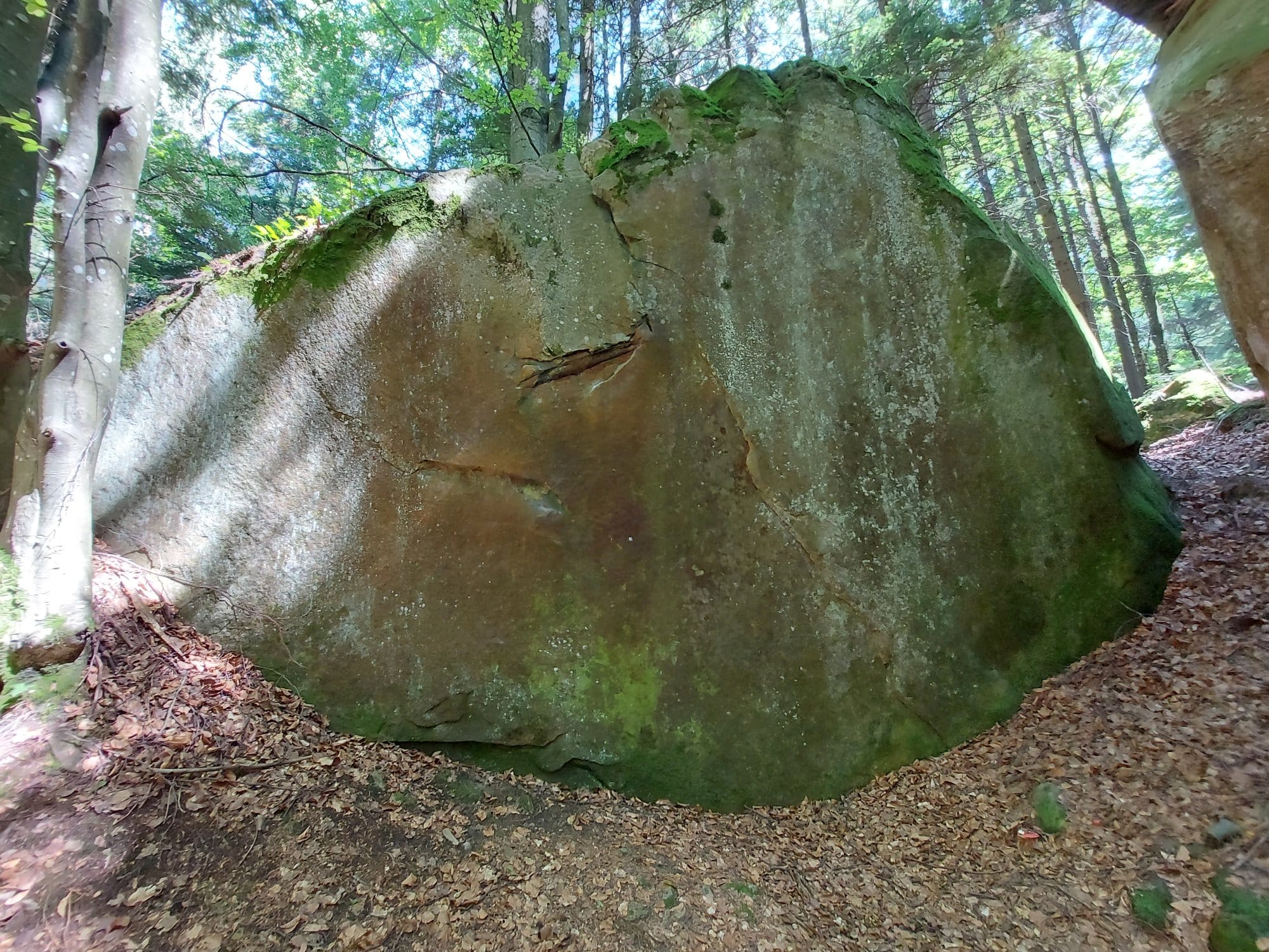 Fotografie traseu