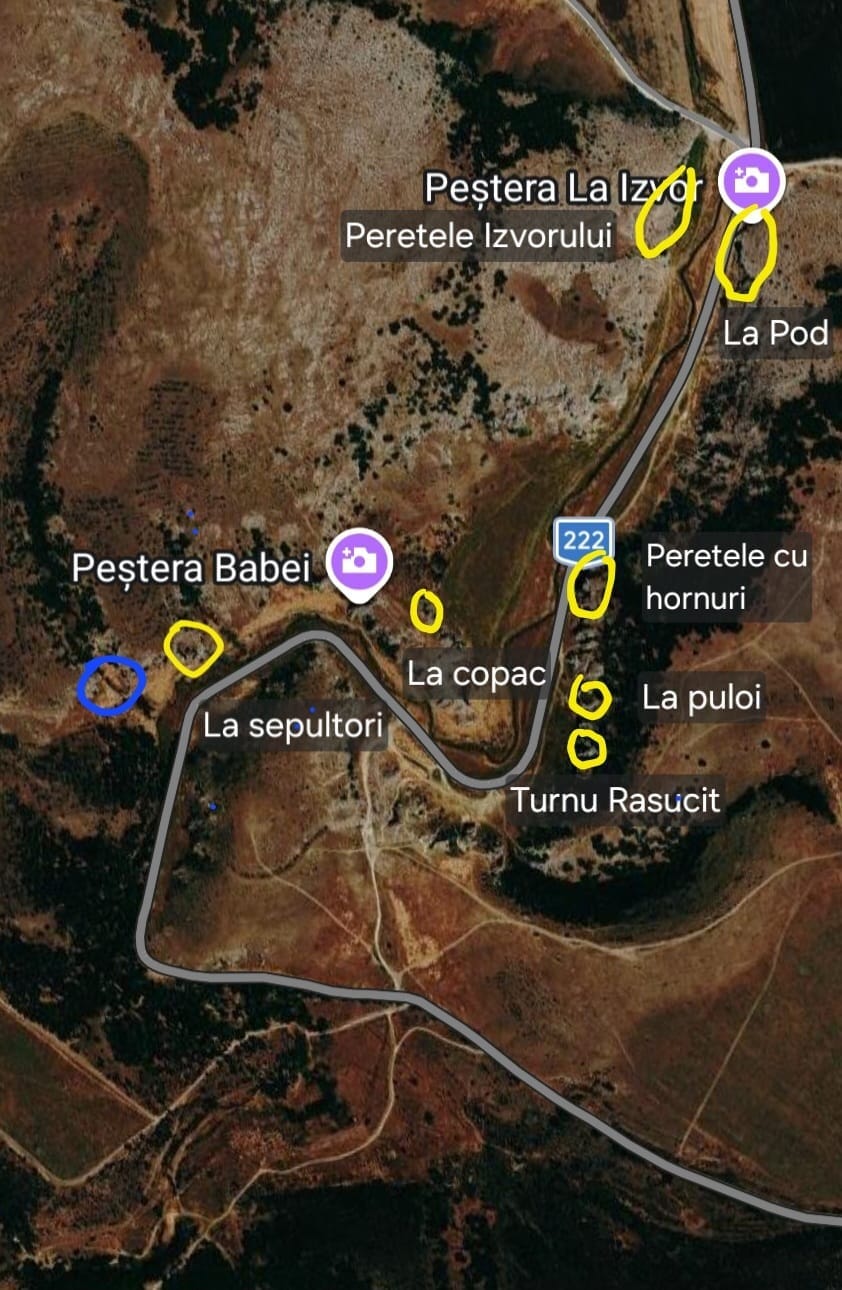 Sursă: Codrii