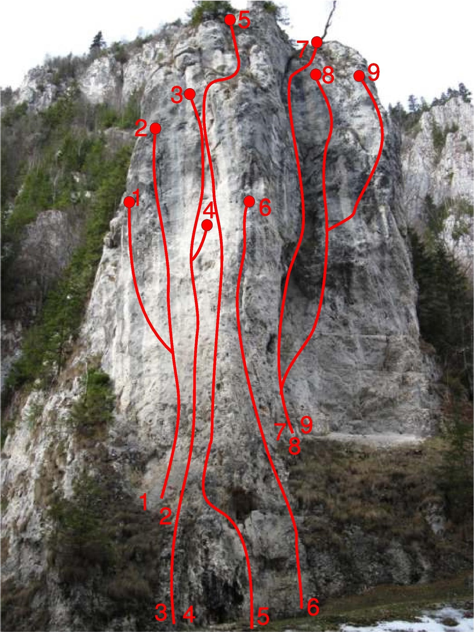 Sursă: Milea Iulian