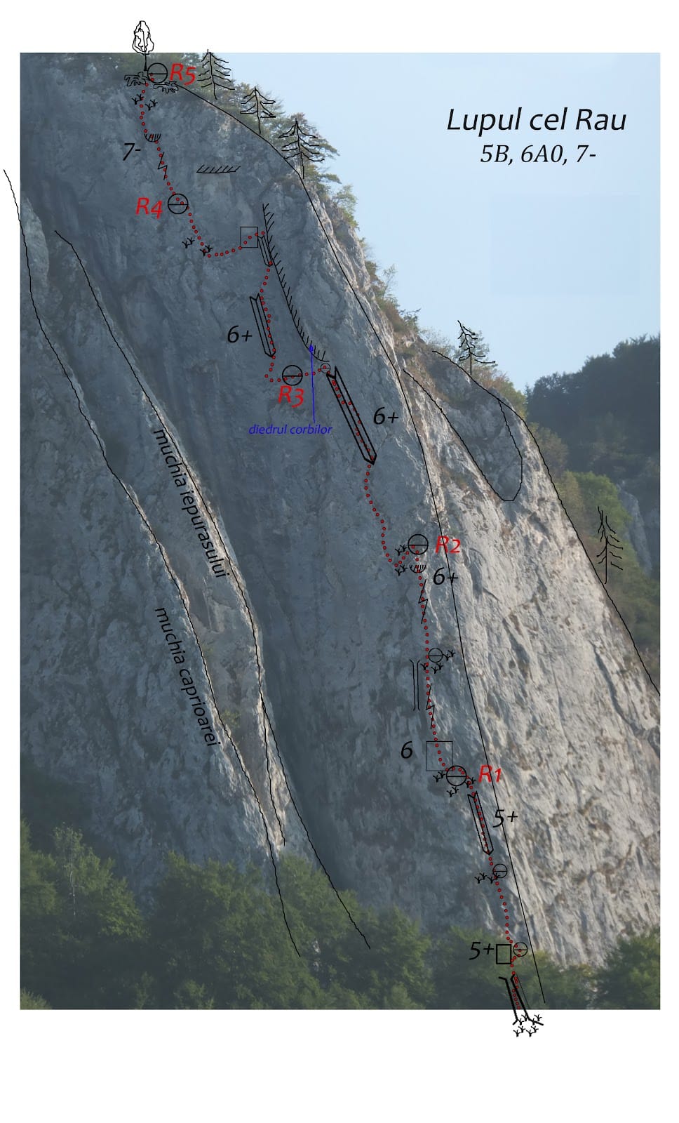 Topo traseu Lupul cel Rău, Postăvarul Topo traseu Lupul cel Rău, Postăvarul
