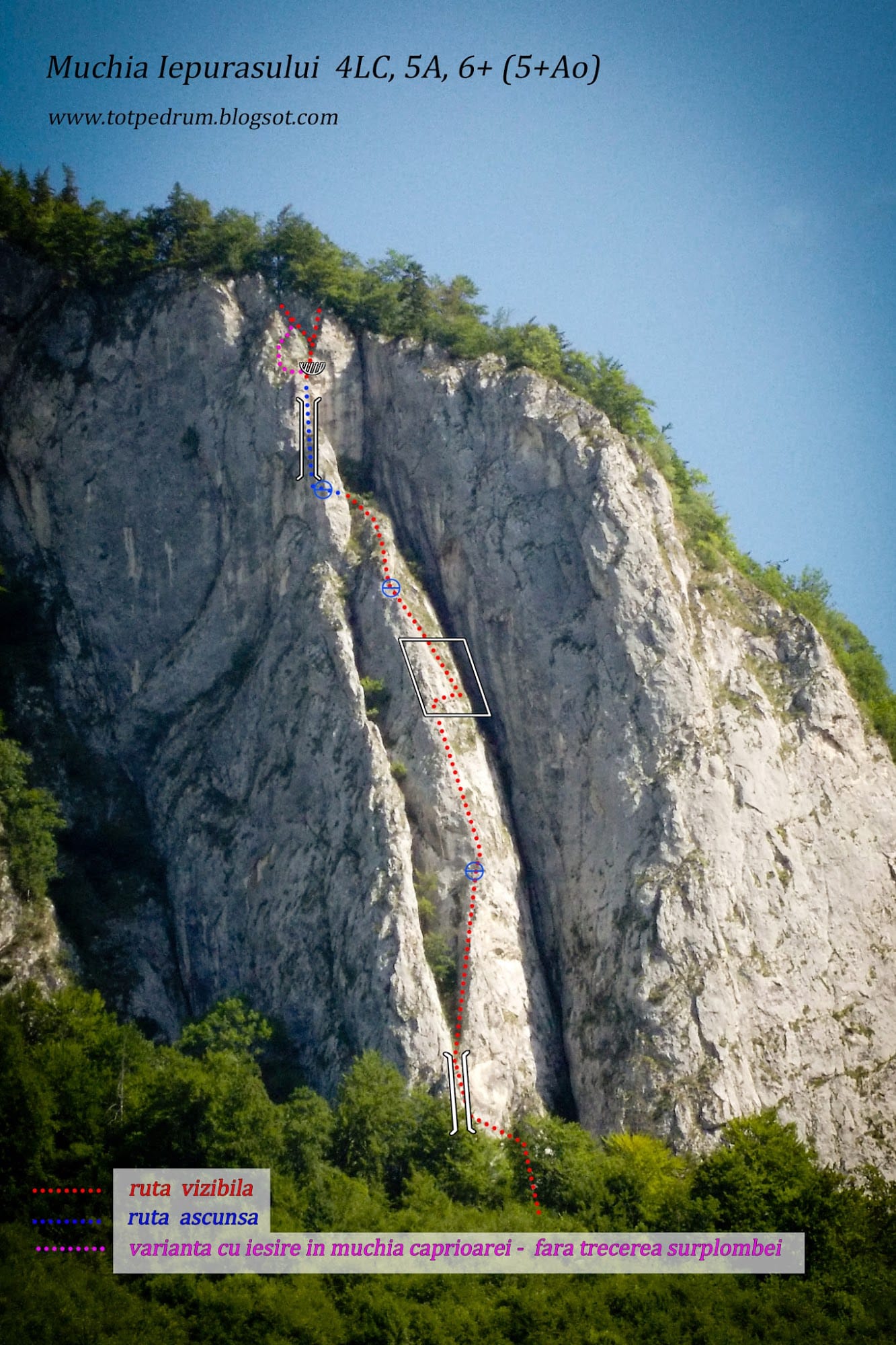 Sursă: Cristi Popescu Sursă: Cristi Popescu