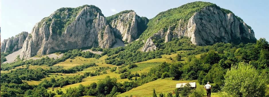 Sursă: http://www.buces.ro Sursă: http://www.buces.ro