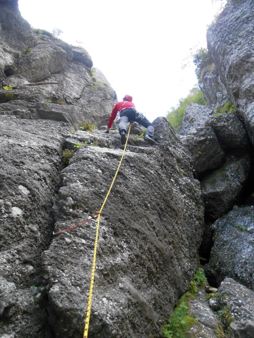 Sursă foto: MihaelaT Sursă foto: MihaelaT