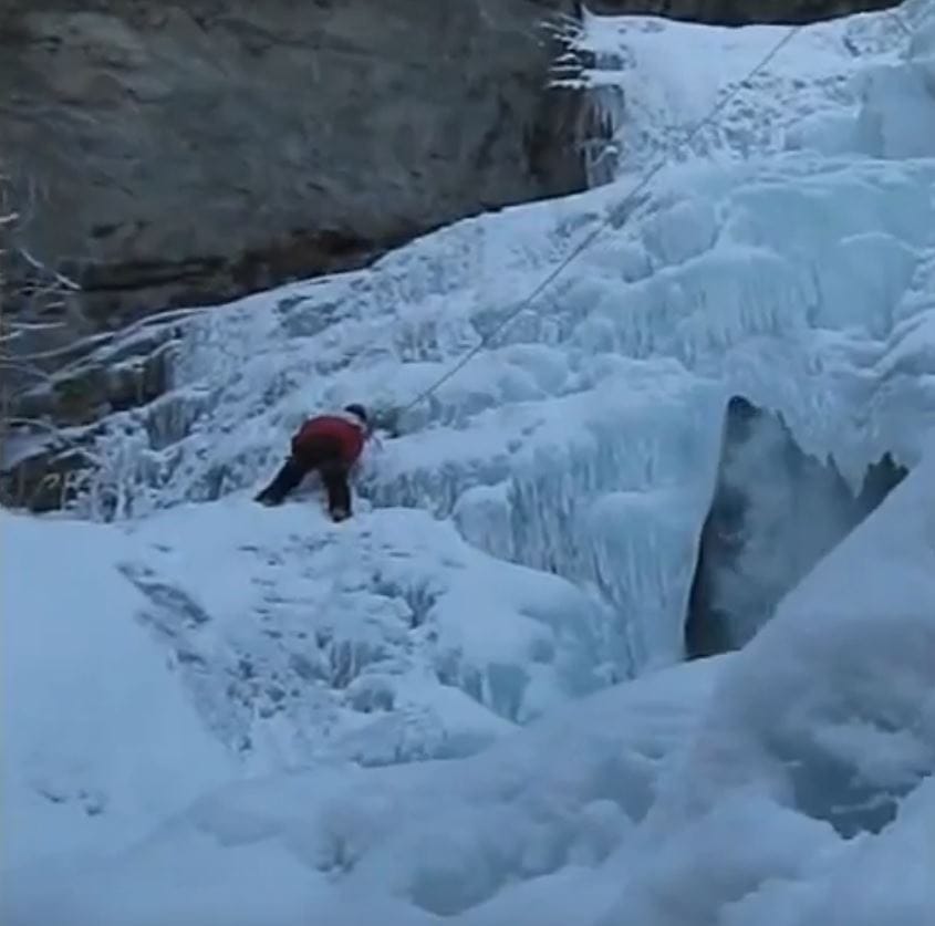 Sursă: Cezar Dragos Sursă: Cezar Dragos