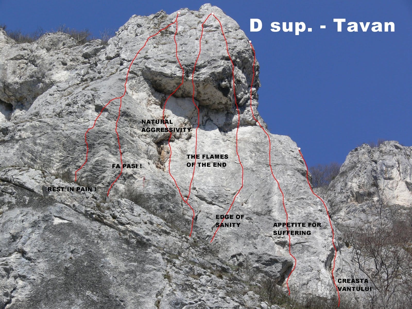 Sursă: Titus Gonțea Sursă: Titus Gonțea