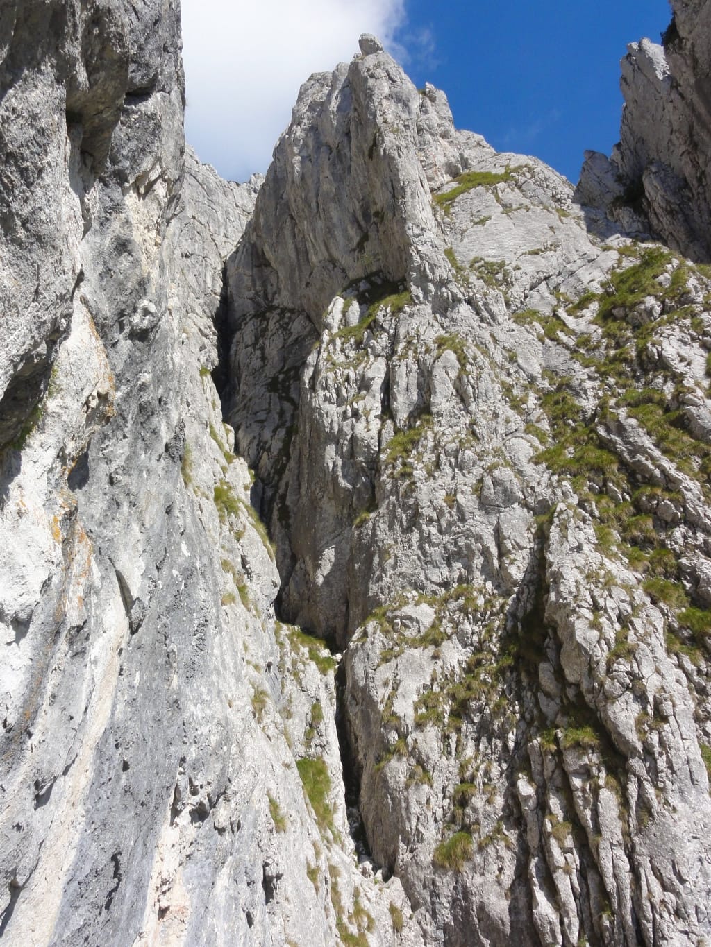 Vedere din Brâul Răchitei. Sursă foto: Rupi Vedere din Brâul Răchitei. Sursă foto: Rupi