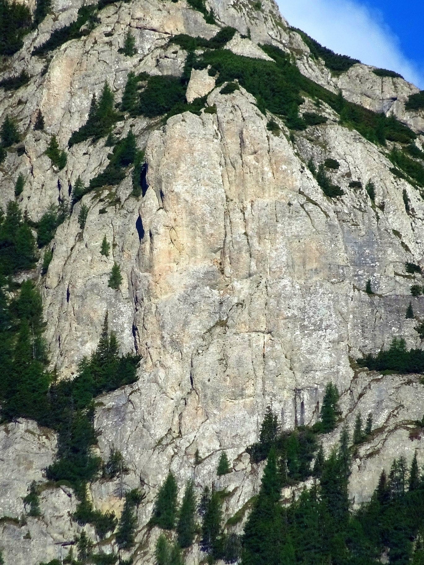 Vedere de ansamblu din Bușteni. Sursa foto: Rupi (2019) Vedere de ansamblu din Bușteni. Sursa foto: Rupi (2019)
