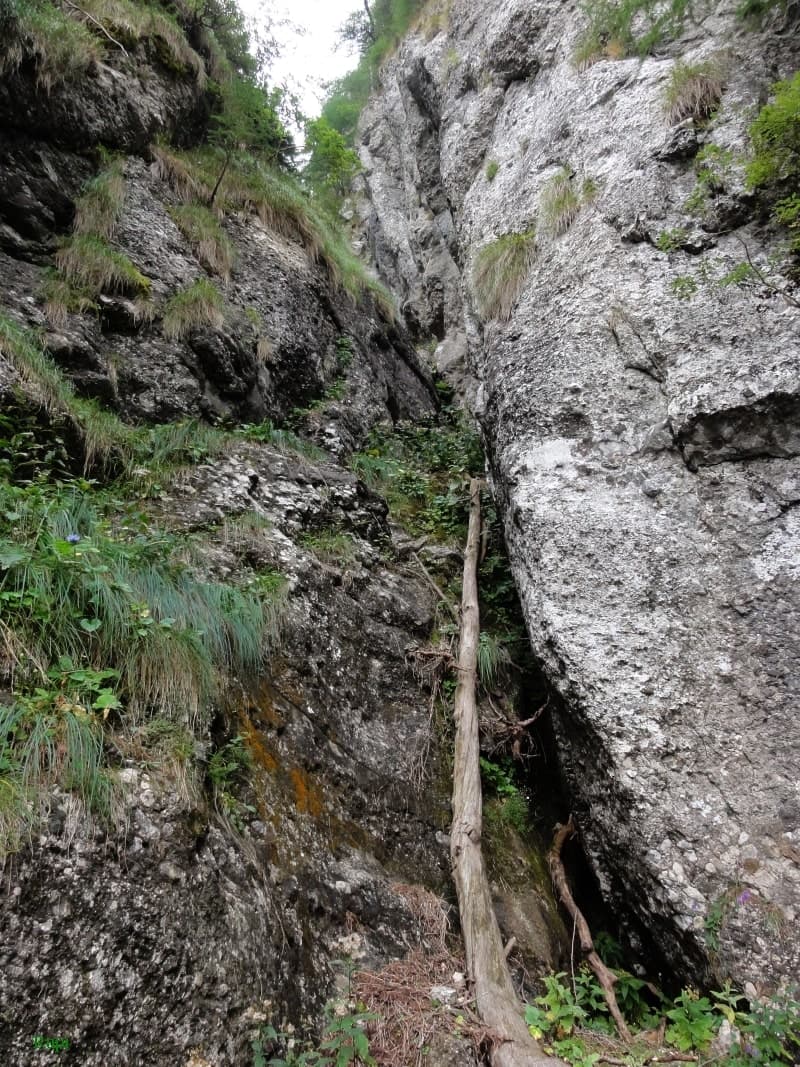 Sursă: Rupi (2015) Sursă: Rupi (2015)
