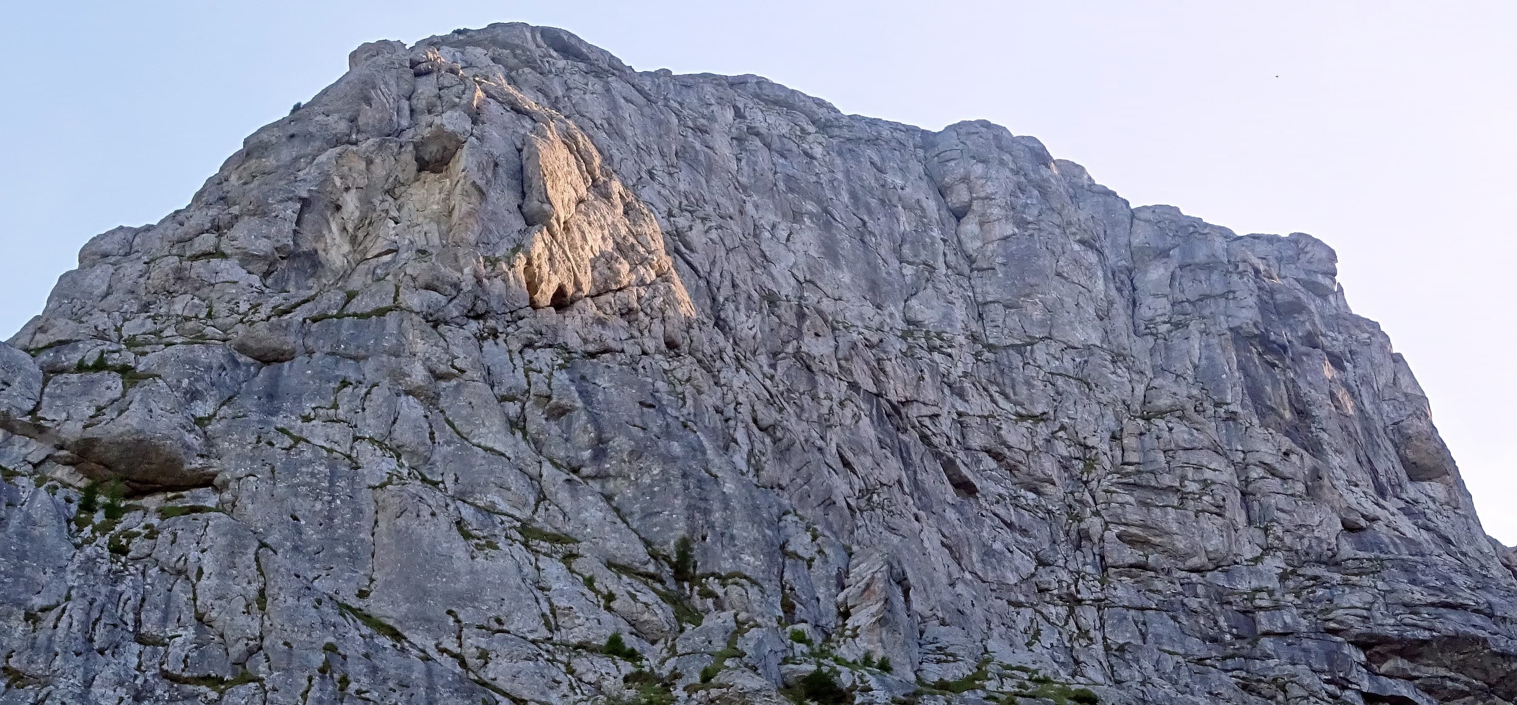 Peretele Gălbenelelor. Sursa foto: Rupi (2019) Peretele Gălbenelelor. Sursa foto: Rupi (2019)
