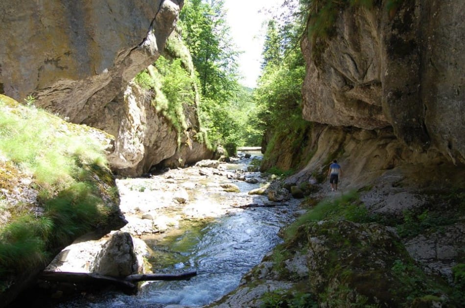 Sursă: stirivaleajiului.info Sursă: stirivaleajiului.info