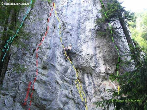 Sursă: escalada.verticon.ro Sursă: escalada.verticon.ro