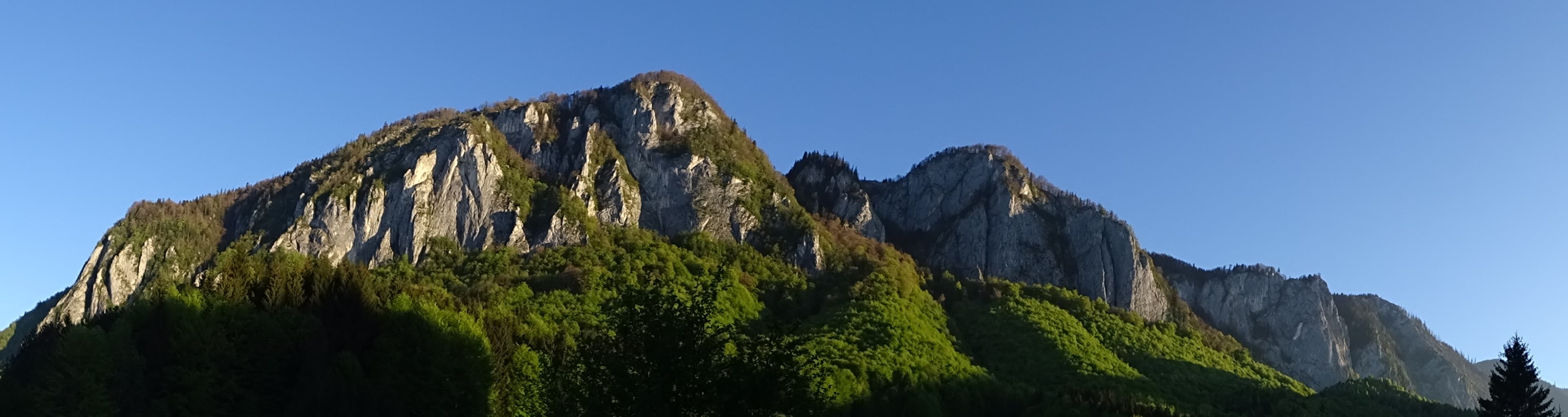 Sursă poză: Rupi Sursă poză: Rupi
