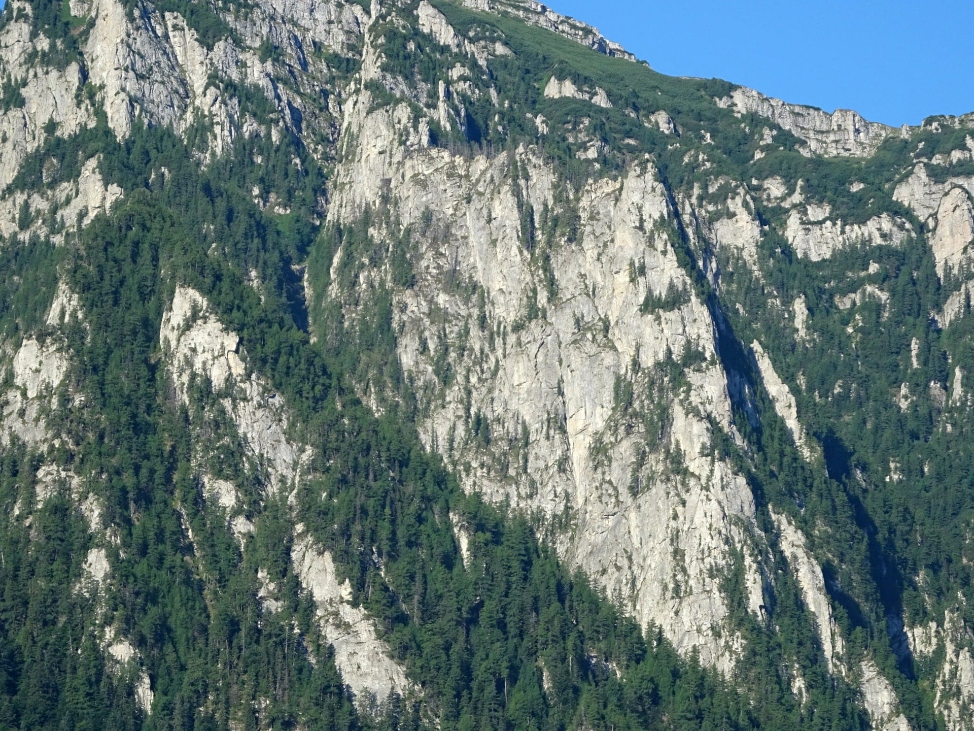 Vedere din Busteni Sursa foto: Rupi (2019) Vedere din Busteni Sursa foto: Rupi (2019)
