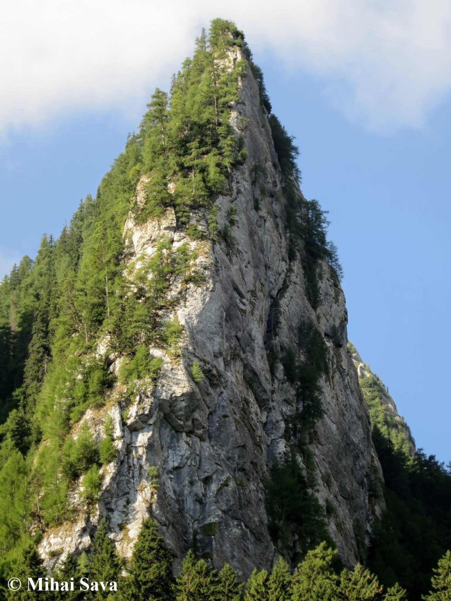 Sursă: Mihai Sava Sursă: Mihai Sava