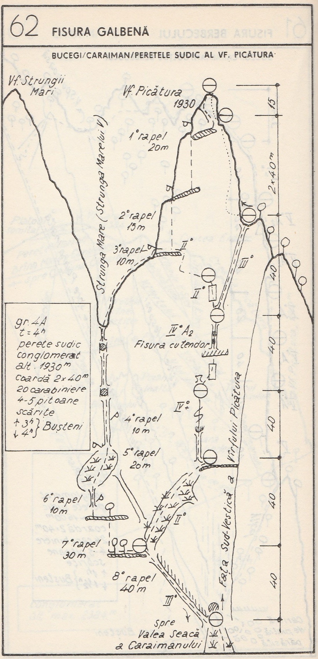 fisura galbena
