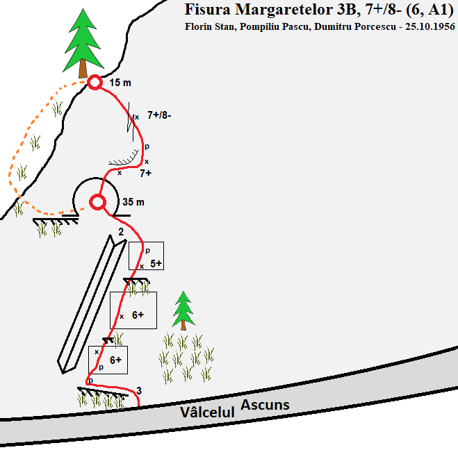 fisura margaretelor_2