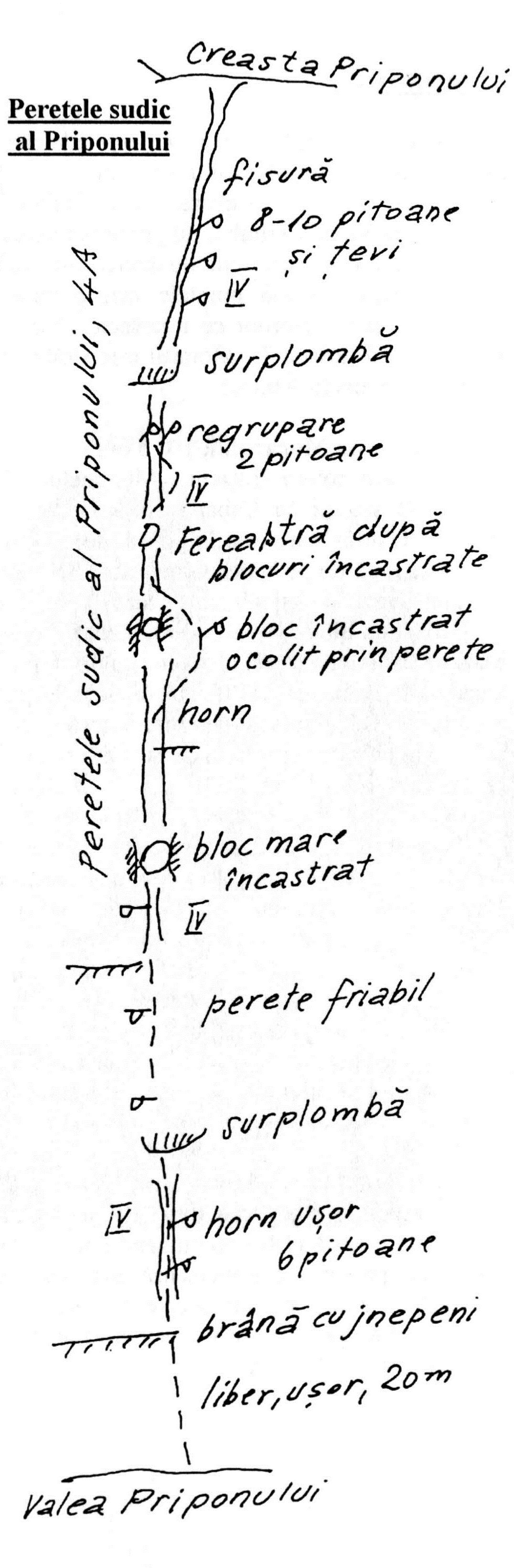 peretele sudic al priponului