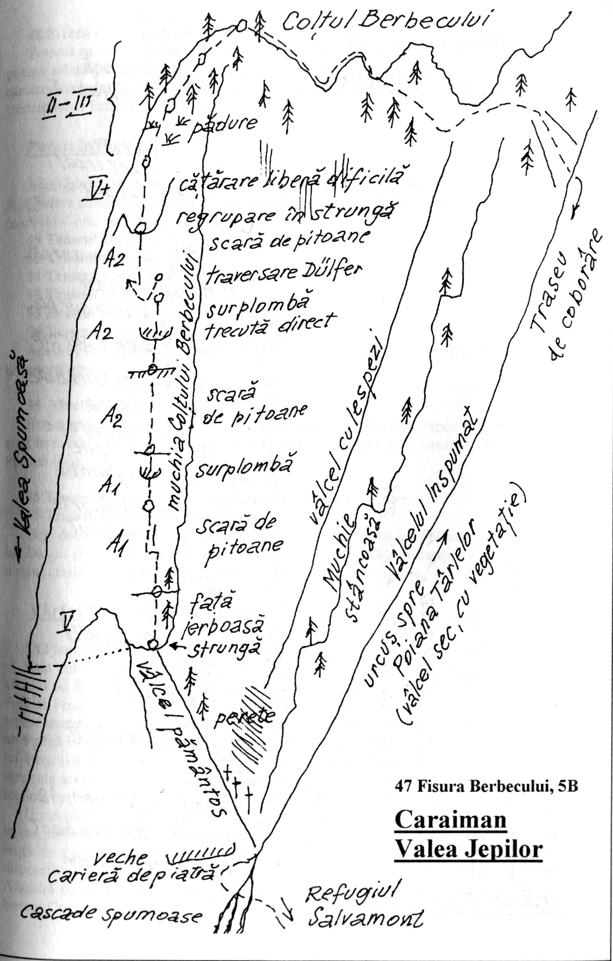 fisura berbecului2