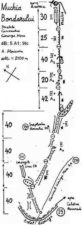 muchia bondarului2