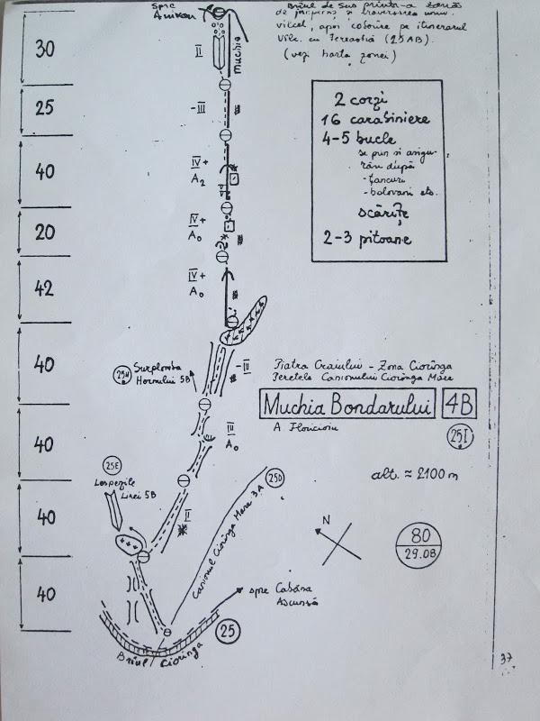 muchia bondarului1