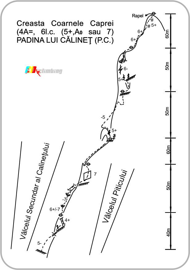 creasta-coarnele-caprei