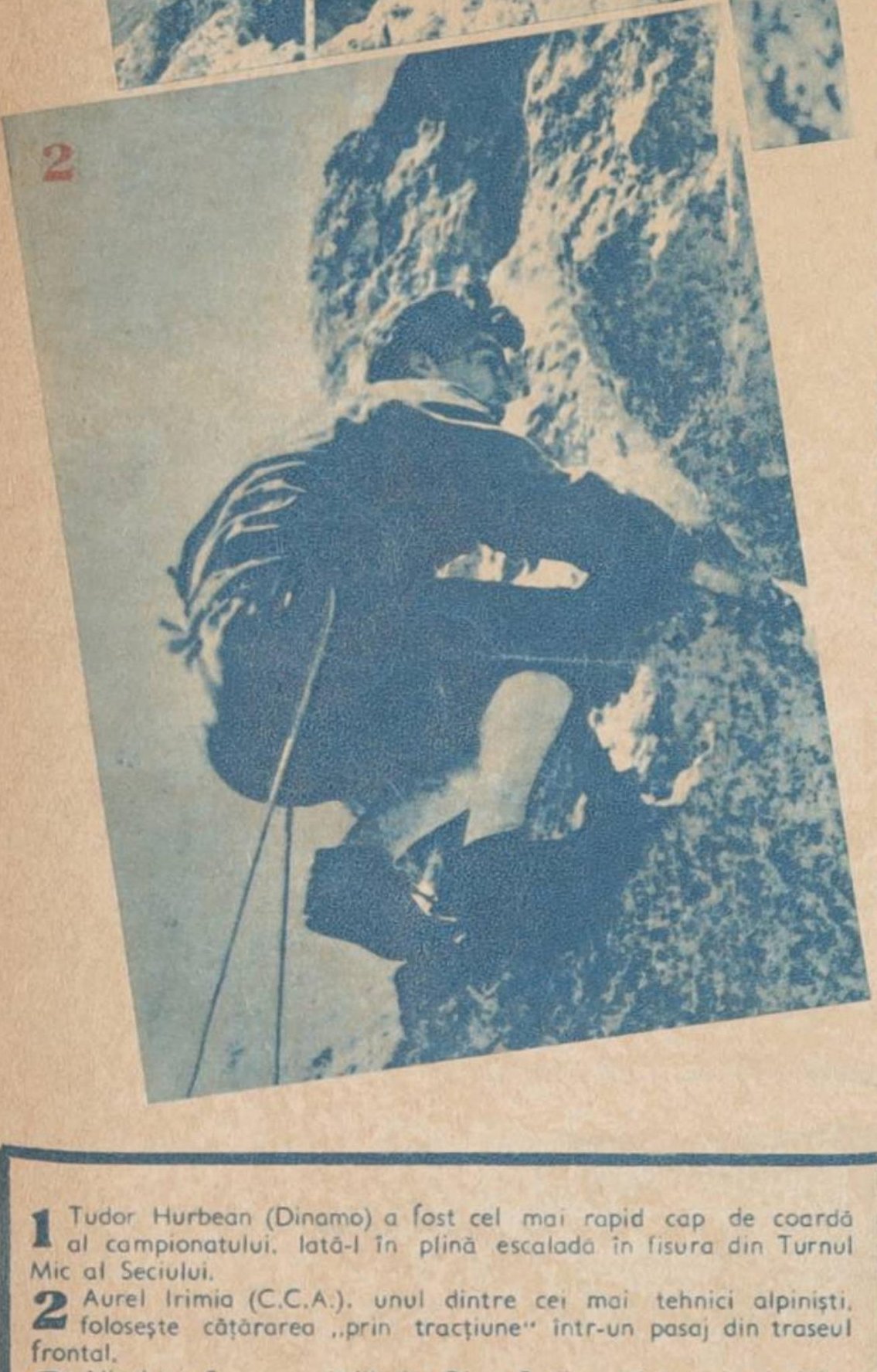 1954