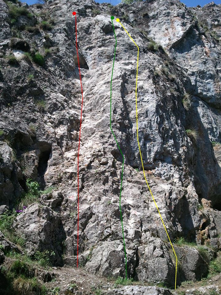 linia galbenă linia galbenă