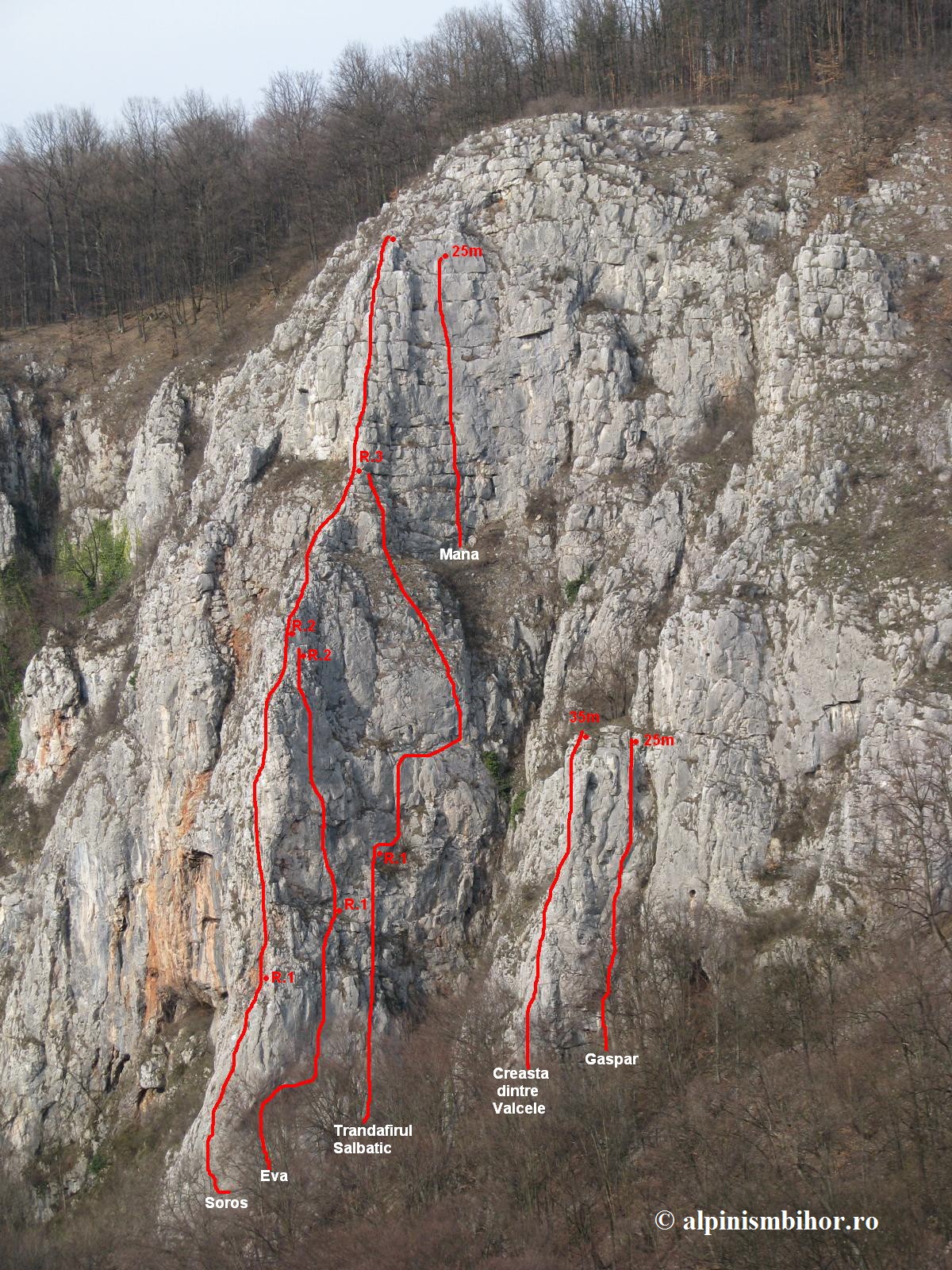 Sursă: alpinismbihor.ro Sursă: alpinismbihor.ro