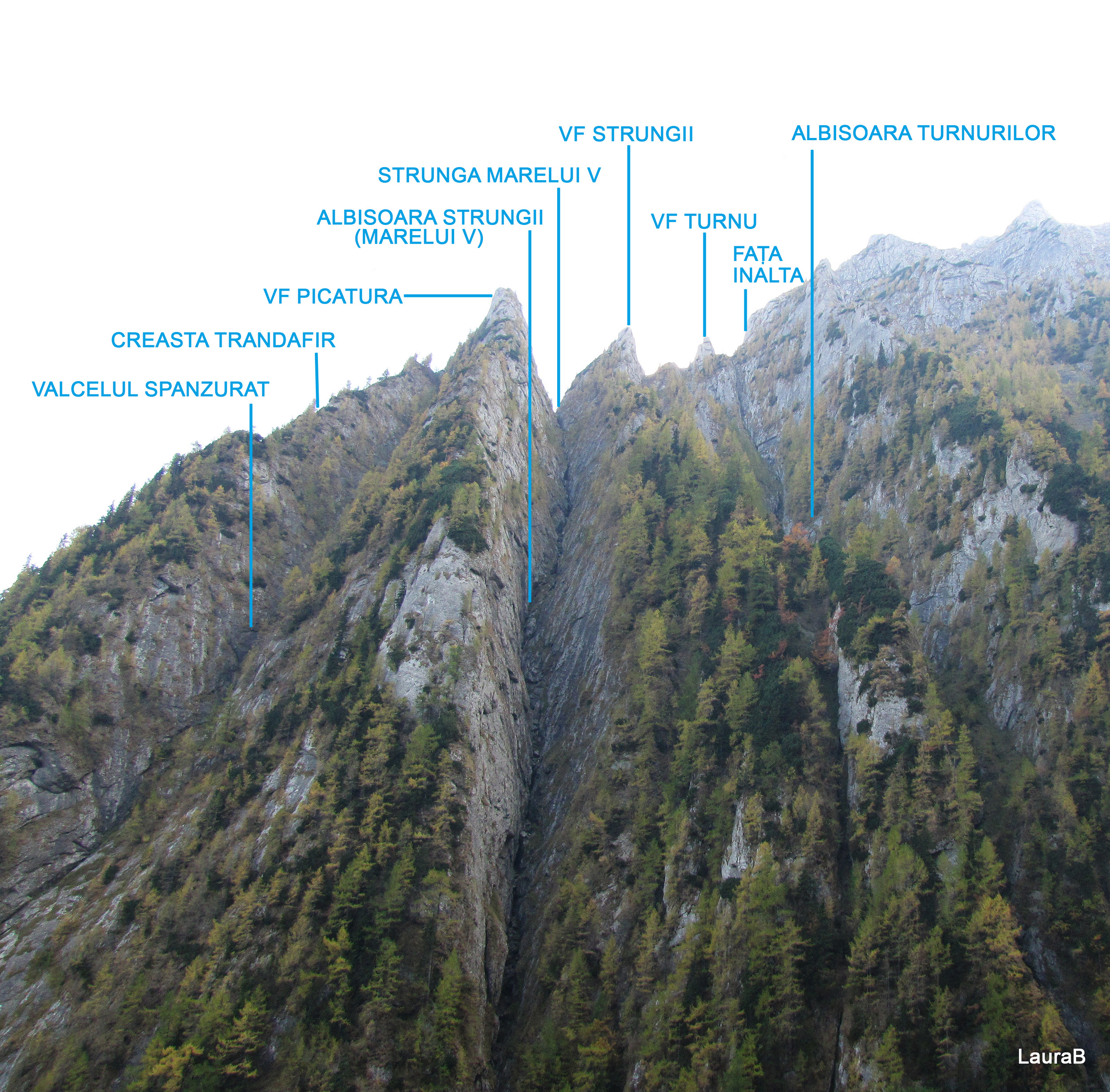 picatura nord